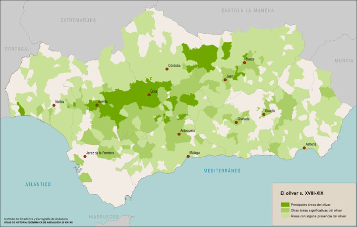 distribucion-geografica-del-olivo-andalucia