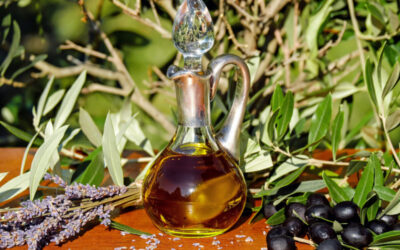 Variedades de Aceituna en España