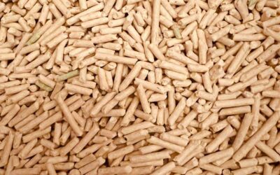 Huesos de aceituna para pellets